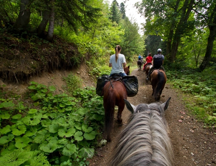 Летние развлечения на территории курорта Красная Поляна - Отель Courtyard Marriott Sochi Krasnaya Polyana / Кортъярд Марриотт Сочи Красная Поляна